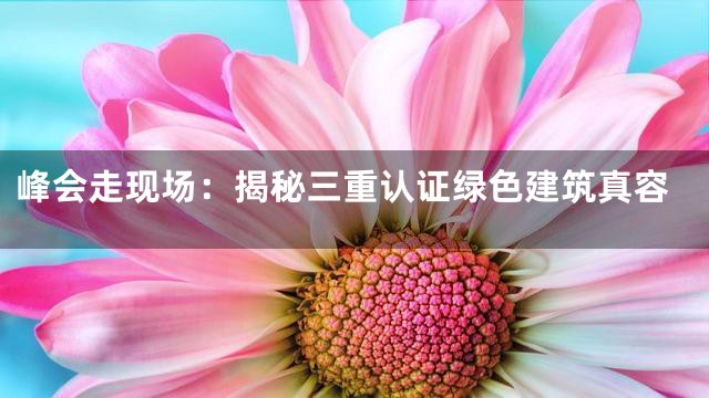 峰会走现场：揭秘三重认证绿色建筑真容