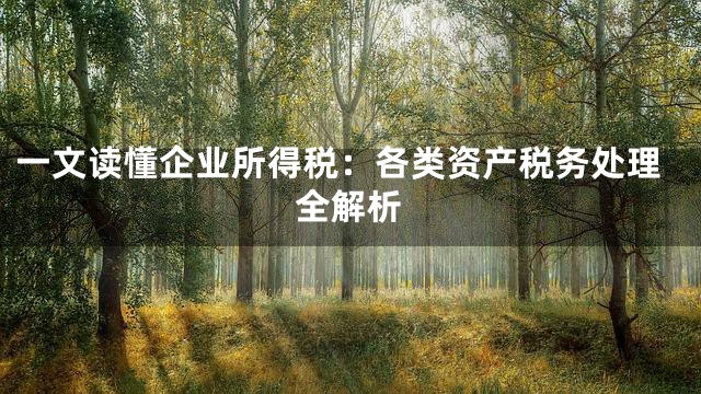 一文读懂企业所得税：各类资产税务处理全解析
