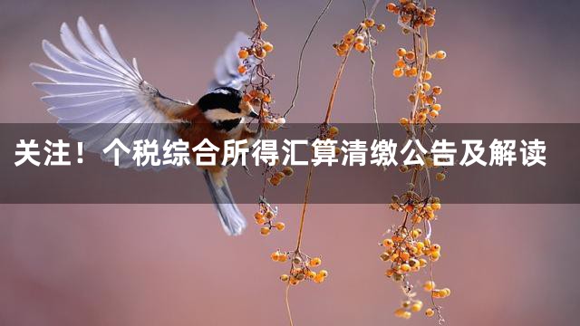 关注！个税综合所得汇算清缴公告及解读