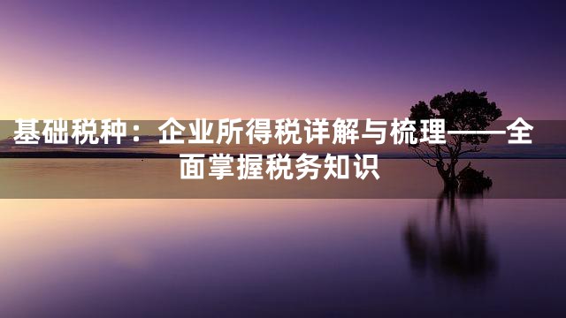 基础税种：企业所得税详解与梳理——全面掌握税务知识
