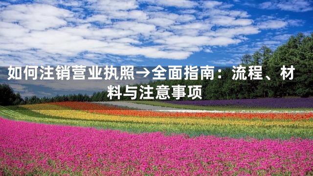 如何注销营业执照→全面指南：流程、材料与注意事项