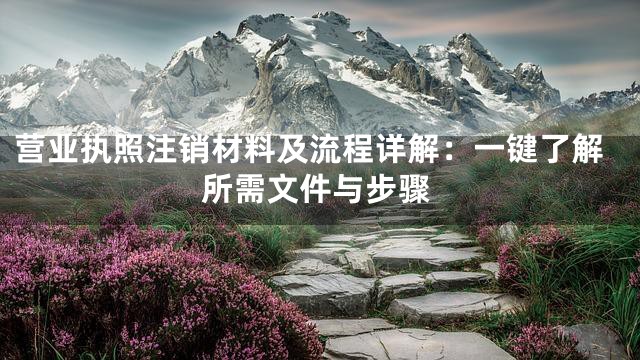 营业执照注销材料及流程详解：一键了解所需文件与步骤