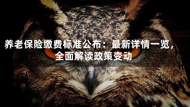 养老保险缴费标准公布：最新详情一览，全面解读政策变动