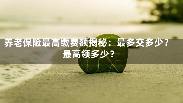 养老保险最高缴费额揭秘：最多交多少？最高领多少？
