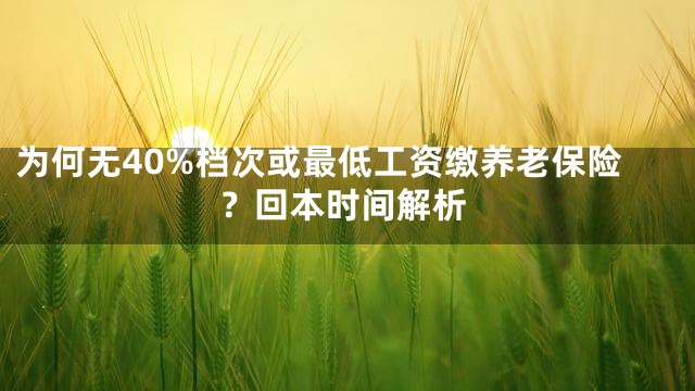 为何无40%档次或最低工资缴养老保险？回本时间解析