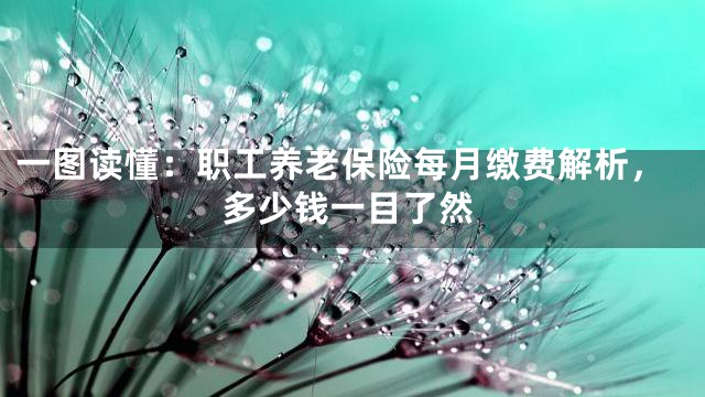 一图读懂：职工养老保险每月缴费解析，多少钱一目了然