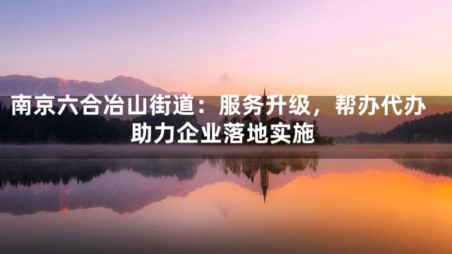 南京六合冶山街道：服务升级，帮办代办助力企业落地实施