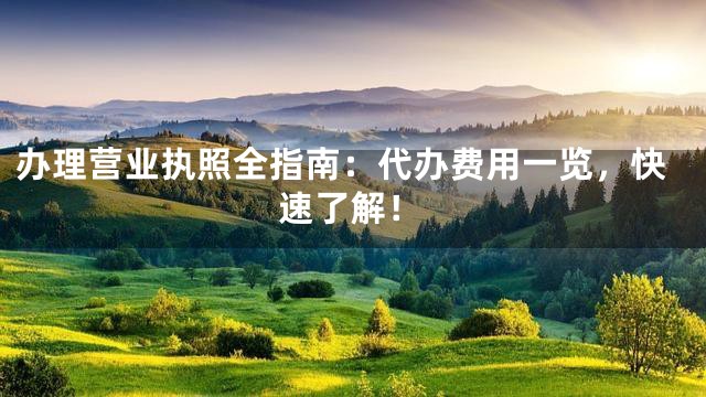 办理营业执照全指南：代办费用一览，快速了解！