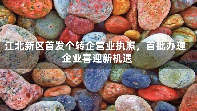 江北新区首发个转企营业执照，首批办理企业喜迎新机遇
