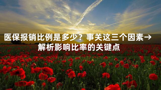 医保报销比例是多少？事关这三个因素→解析影响比率的关键点