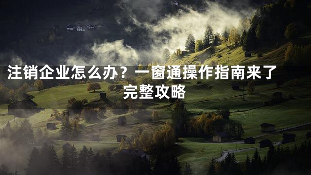 注销企业怎么办？一窗通操作指南来了 完整攻略