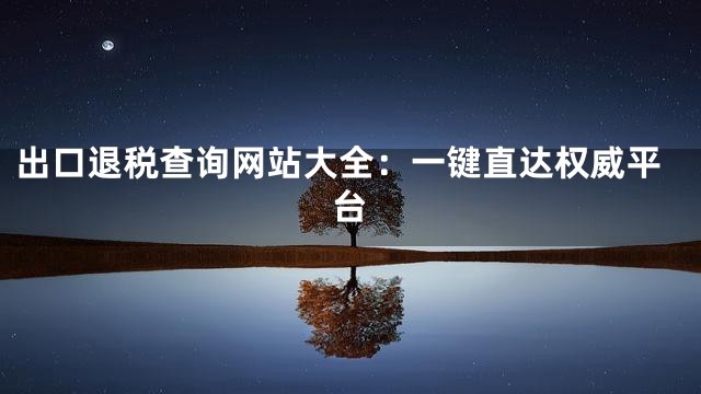 出口退税查询网站大全：一键直达权威平台