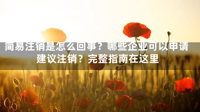 简易注销是怎么回事？哪些企业可以申请建议注销？完整指南在这里