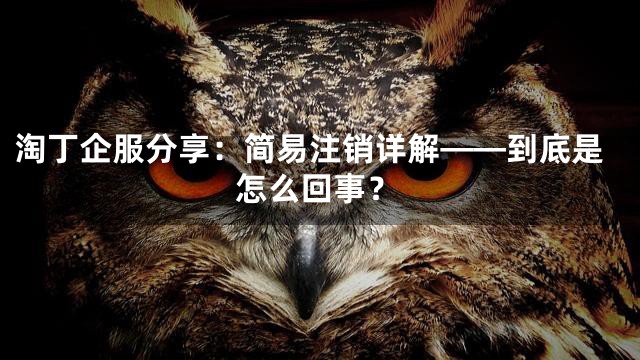 淘丁企服分享：简易注销详解——到底是怎么回事？