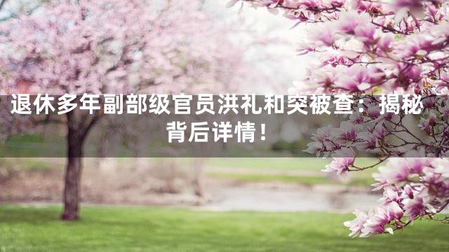退休多年副部级官员洪礼和突被查：揭秘背后详情！