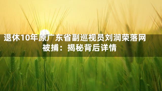 退休10年原广东省副巡视员刘润荣落网被捕：揭秘背后详情