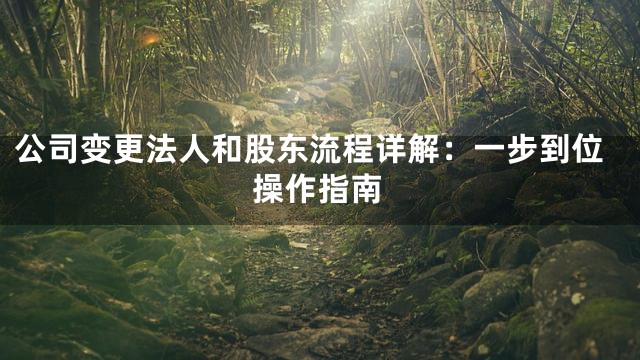 公司变更法人和股东流程详解：一步到位操作指南