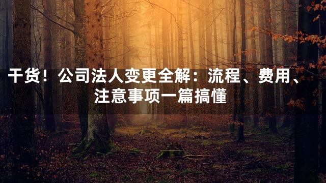 干货！公司法人变更全解：流程、费用、注意事项一篇搞懂