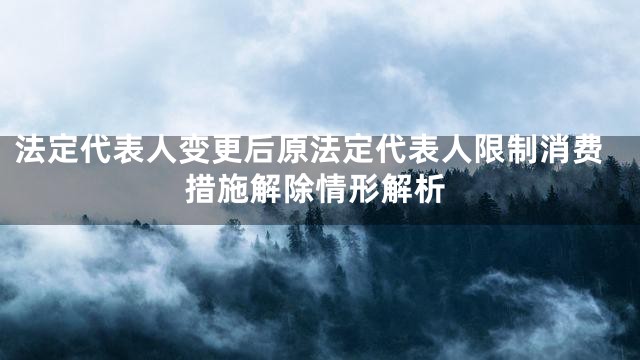 法定代表人变更后原法定代表人限制消费措施解除情形解析