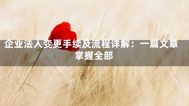 企业法人变更手续及流程详解：一篇文章掌握全部