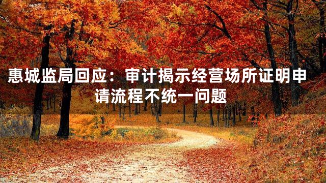 惠城监局回应：审计揭示经营场所证明申请流程不统一问题