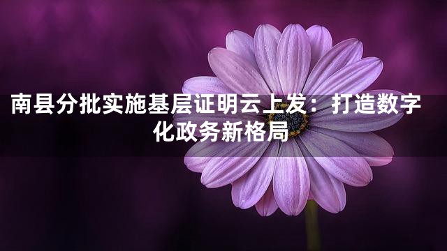 南县分批实施基层证明云上发：打造数字化政务新格局