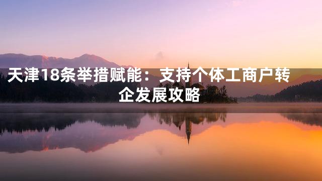 天津18条举措赋能：支持个体工商户转企发展攻略