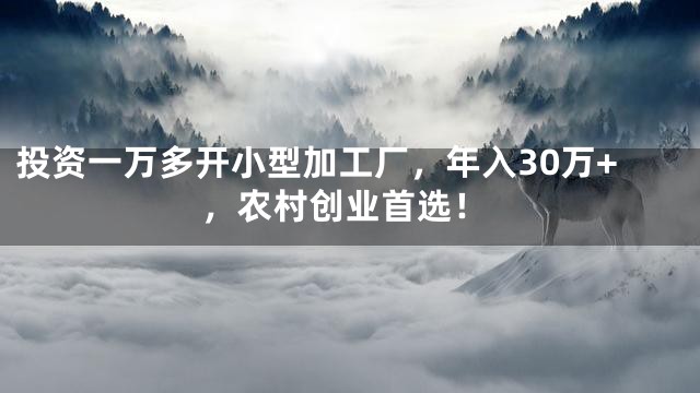 投资一万多开小型加工厂，年入30万+，农村创业首选！