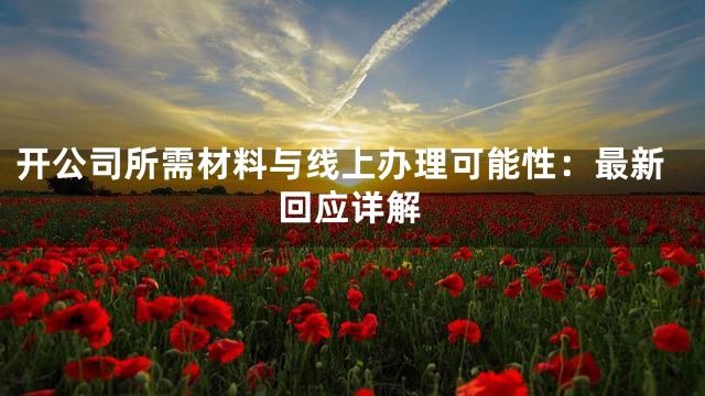 开公司所需材料与线上办理可能性：最新回应详解
