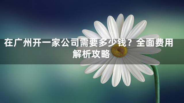 在广州开一家公司需要多少钱？全面费用解析攻略