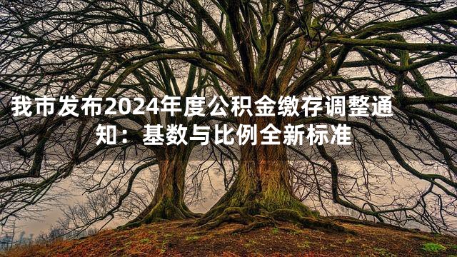 我市发布2024年度公积金缴存调整通知：基数与比例全新标准