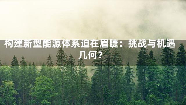 构建新型能源体系迫在眉睫：挑战与机遇几何？