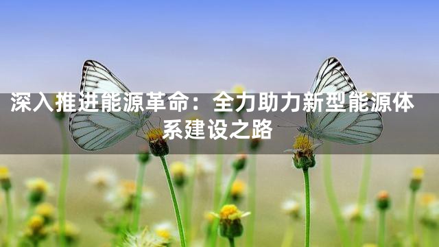 深入推进能源革命：全力助力新型能源体系建设之路