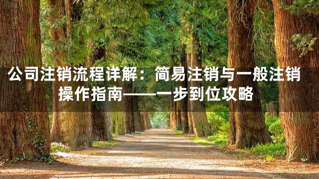 公司注销流程详解：简易注销与一般注销操作指南——一步到位攻略