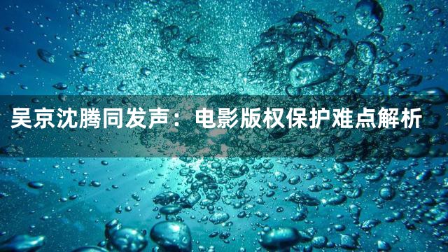 吴京沈腾同发声：电影版权保护难点解析
