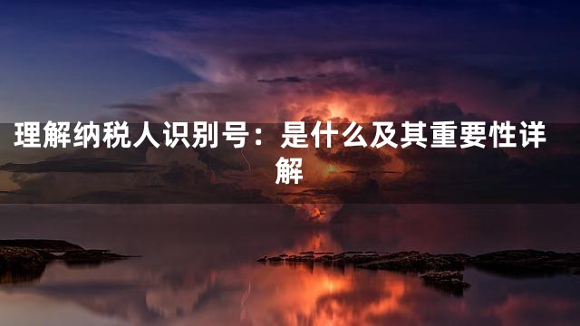 理解纳税人识别号：是什么及其重要性详解
