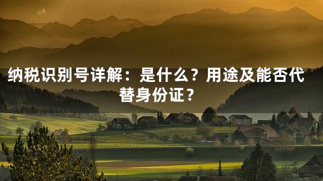 纳税识别号详解：是什么？用途及能否代替身份证？