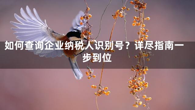 如何查询企业纳税人识别号？详尽指南一步到位