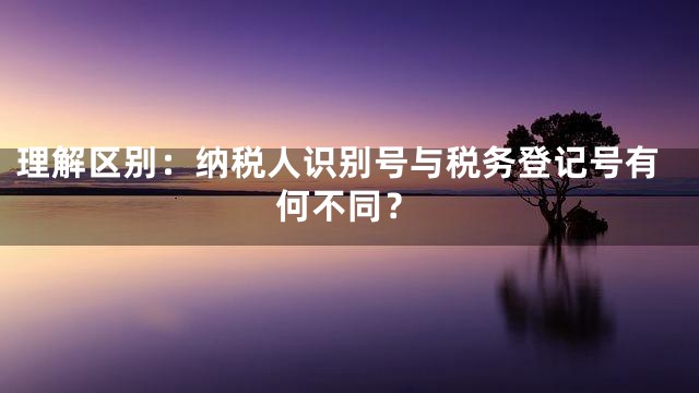理解区别：纳税人识别号与税务登记号有何不同？