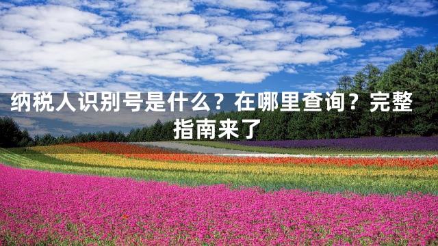 纳税人识别号是什么？在哪里查询？完整指南来了