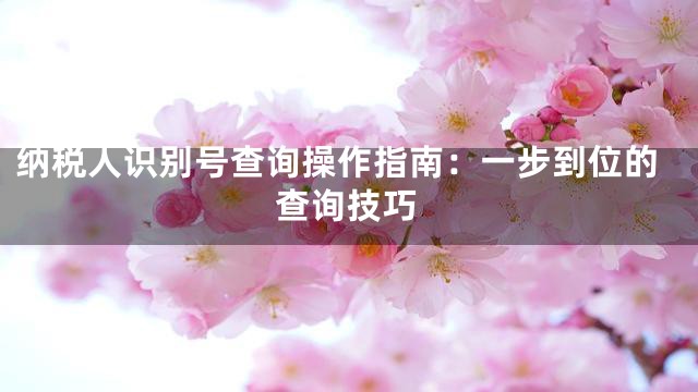 纳税人识别号查询操作指南：一步到位的查询技巧