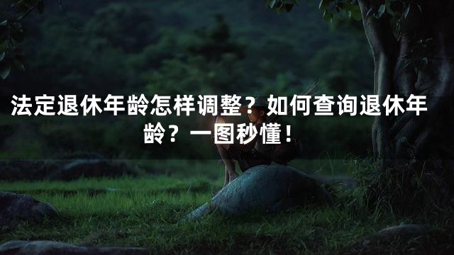 法定退休年龄怎样调整？如何查询退休年龄？一图秒懂！