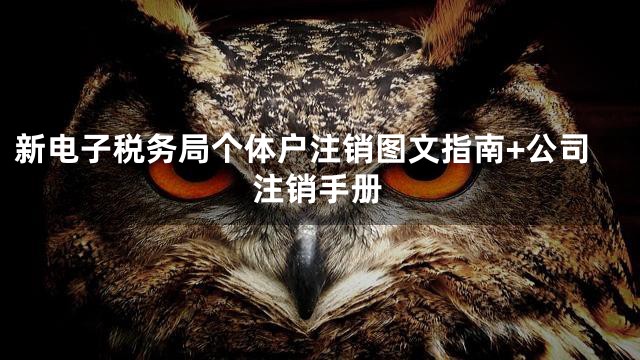 新电子税务局个体户注销图文指南+公司注销手册