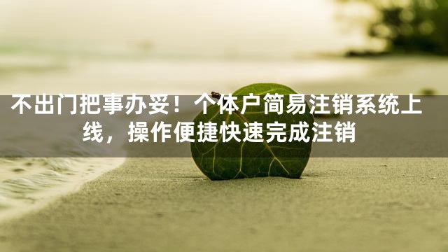 不出门把事办妥！个体户简易注销系统上线，操作便捷快速完成注销