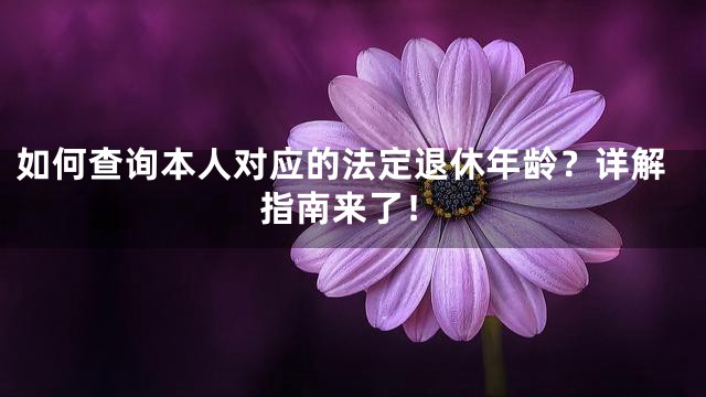 如何查询本人对应的法定退休年龄？详解指南来了！