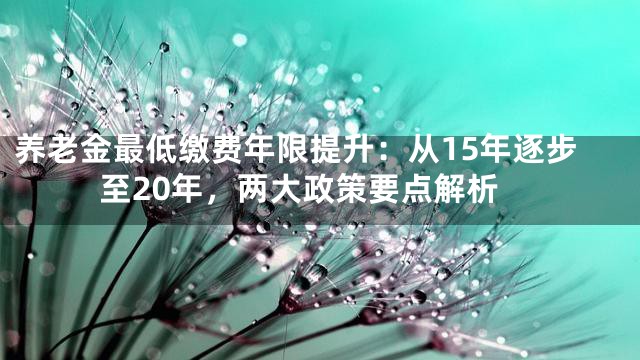 养老金最低缴费年限提升：从15年逐步至20年，两大政策要点解析