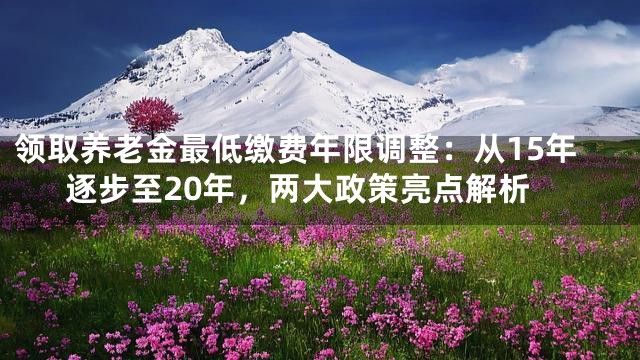 领取养老金最低缴费年限调整：从15年逐步至20年，两大政策亮点解析
