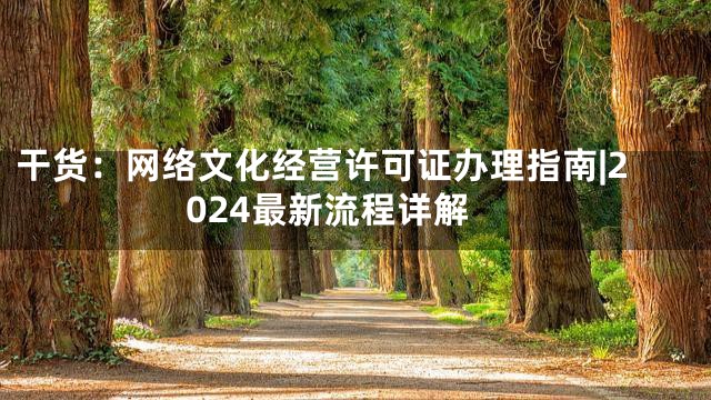 干货：网络文化经营许可证办理指南|2024最新流程详解