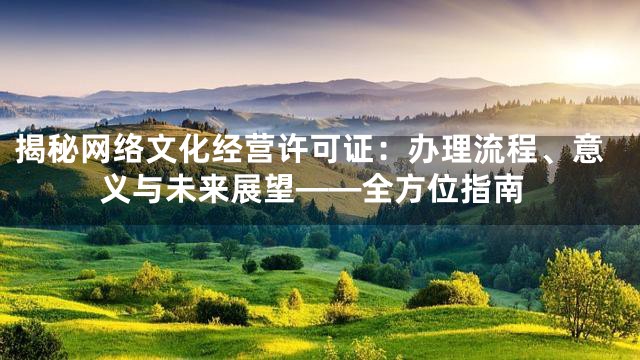 揭秘网络文化经营许可证：办理流程、意义与未来展望——全方位指南