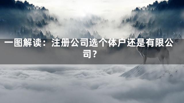 一图解读：注册公司选个体户还是有限公司？
